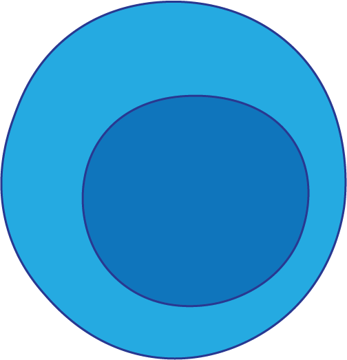 B cell