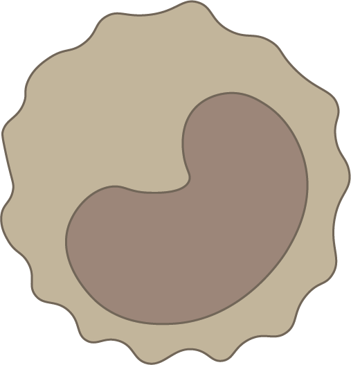 Monocyte